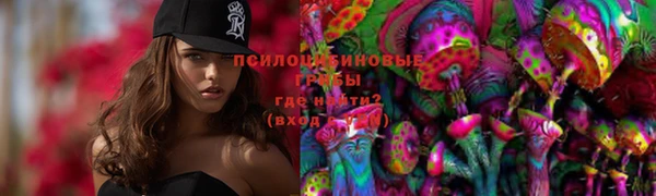 кристаллы Покачи