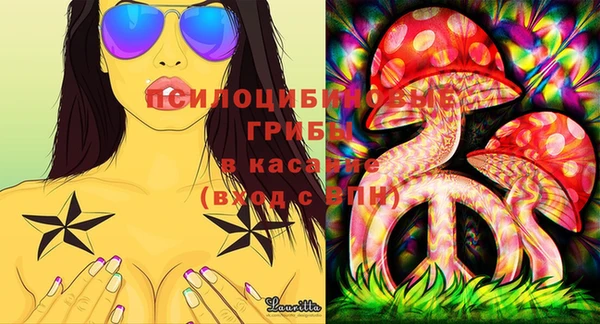 кристаллы Покачи