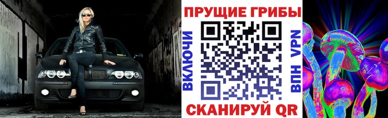 Галлюциногенные грибы прущие грибы  кракен как войти  Петушки 